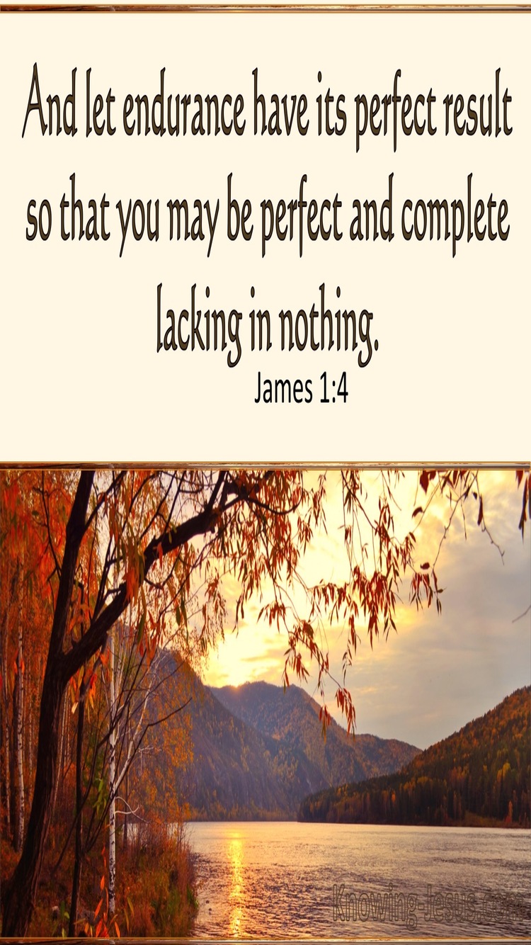 James 1:4 Let Patience Have Its Perfect Work (brown)